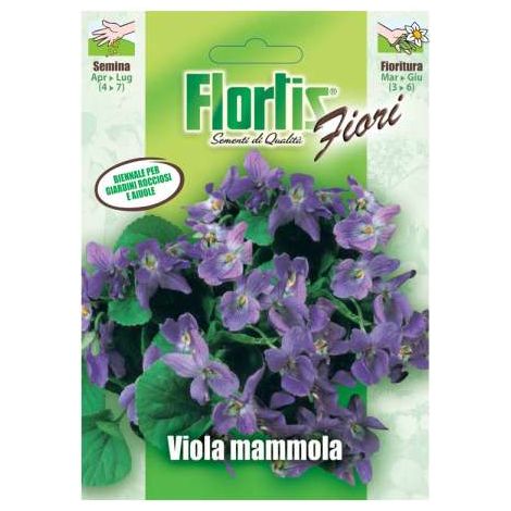 Semi di Viola Mammola