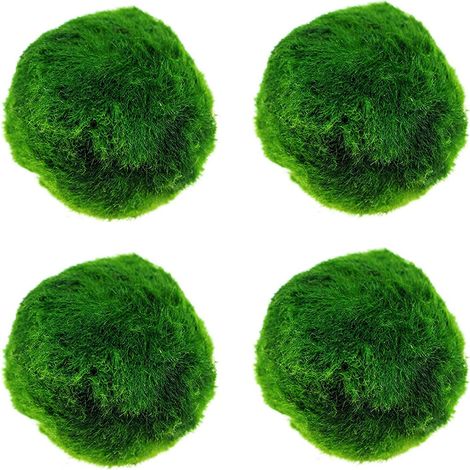 4 Boule de mousse,Plante vivante 4cm,Eau douce 5-28°C,Aquarium,Crevettes (1/5)