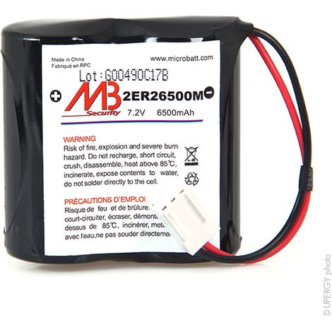Pile Lithium pour alarme 7.2V 5.8Ah - BATLI06 (1/4)