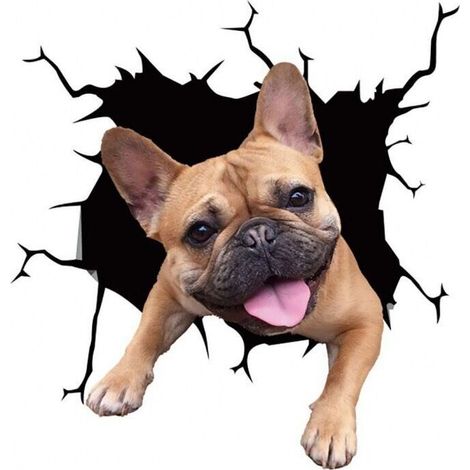 (20cmx20cm)4 PCS Chien Autocollants De Voiture, 3D Labrador Stickers Voiture Autocollants Personnalisés Drôle Bouledogue Français Autocollants De Voiture Réaliste Chien Vinyle Autocollant De Fenêtre (1/4)