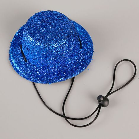 Chapeau Anniversaire Chien dAnniversaire pour Animaux de Compagnie avec pur Accessoire de Fête Anniversaire Cosplay Chat Chien (1/5)