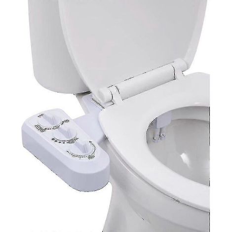 Accessory Toilet Seat And Hot And Cold Water With Double Nozzle (1/5)