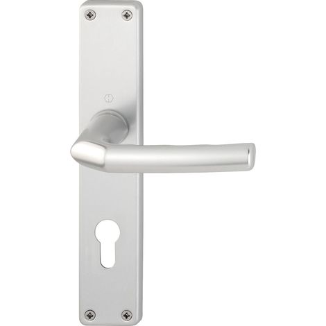Poignée de Birmingham – Sur Plaque longue Cylindre profilé Distance 88 mm, pour épaisseur de porte 30–49 mm, argent anodisé, 1 pièce (1/4)