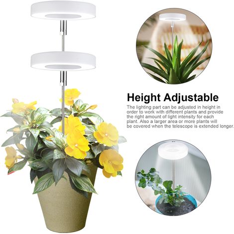 Lampe de croissance LED à spectre complet pour plantes succulentes, éclairage d'appoint pour plantation de fleurs et plantes d'intérieur (1/5)