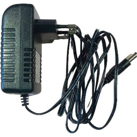 CARICA BATTERIA A 1 VIA 1Ah - 18W