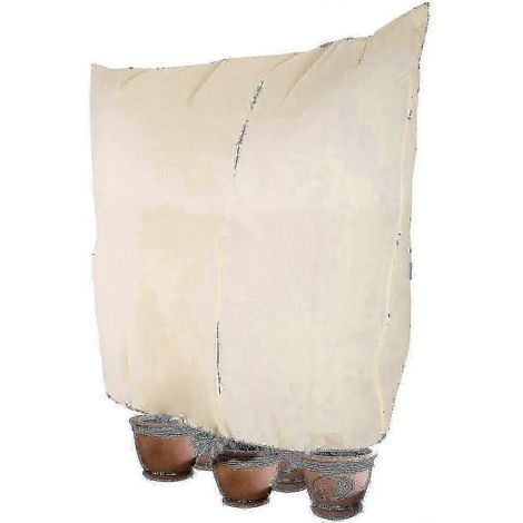 Sac de protection hivernale pour plantes, 240 x 200 cm, réutilisable