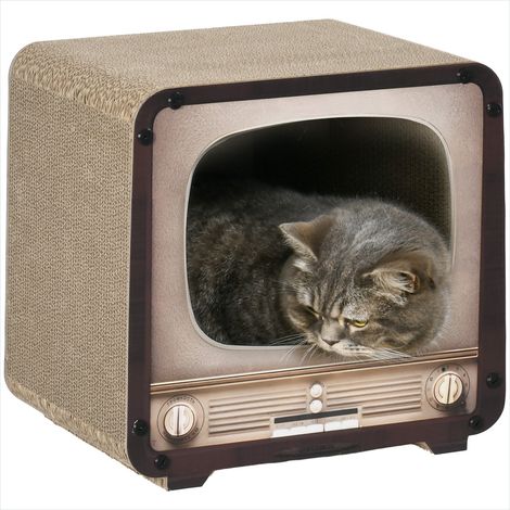 Arbre à chat griffoir maison TV en carton ondulé avec herbe à (1/5)