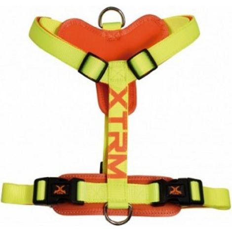ARNES X-TRM Cronos Neon Flash Limon 15 mm x 35-60 cm