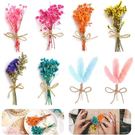 8 Pcs Bouquets de Fleurs Séchées Petites Fleurs Séchées pour Résine Fleurs Séchées Naturelles pour Artisanat Fleurs Conservées pour Résine Scrapbooking Décoration (1/5)