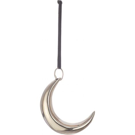 PENDAGLIO SHANNON LUNA ARGENTO 12X9H