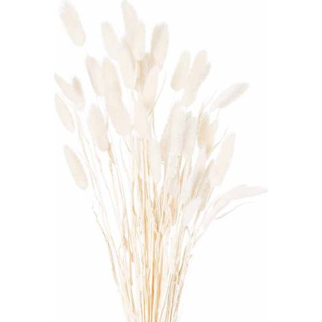 Dried Bunny Tail Bunch of 60 Artificial Plant - H60 cm - White