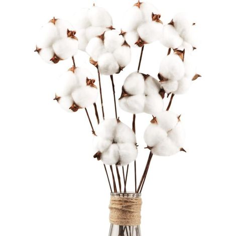 10er-Packung natürliche, getrocknete Baumwollblüten, Trockenblumen, Baumwollstängel, Naturblumen, künstliche Baumwollzweige, künstliche Pflanzen, Dekoration für Balkon, Wohnung, Tisch, Blumenarrangeme (1/5)