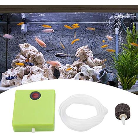 Pompe à pour Aquarium Portable avec Pierre Diffuseur (1/3)