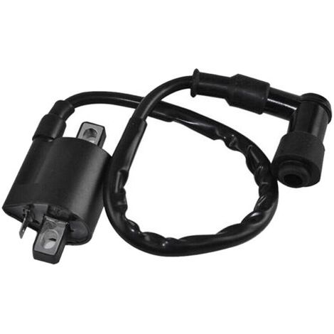 Bobine d’allumage noir Compatible avec Yamaha PW50 PY50 PEEWEE PY PW 50 Dirt Pit Bike Parts (1/4)