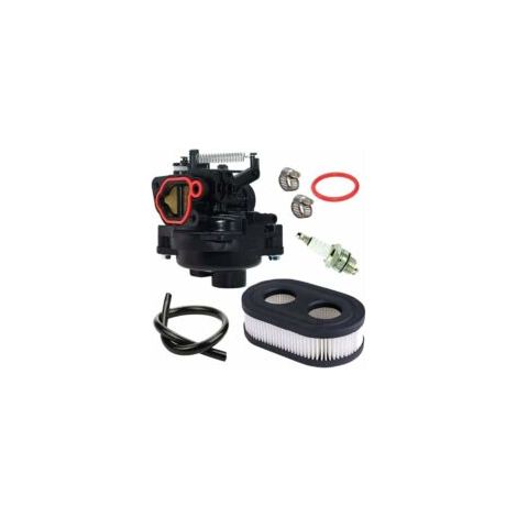 Carburador 799584 para motores Briggs & Stratton 09P702-0145-F1 09P702-0098-F1 550Ex 625Ex 675Ex 725Exi 140CC H734 - Crezuo (1/4)
