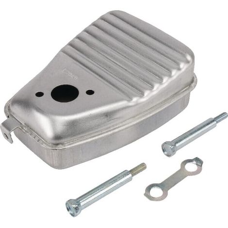 Escape Briggs y Stratton - 793496 (1/2)