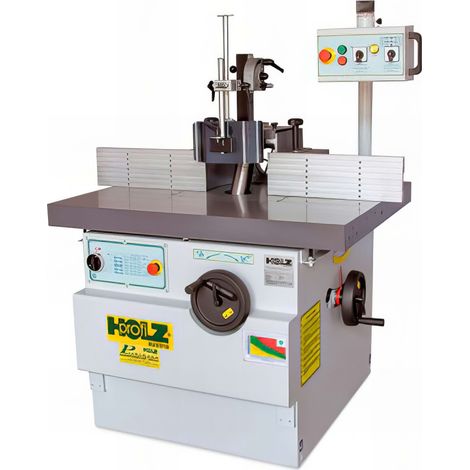 Toupie à arbre inclinable L. 160 mm - MK5 - 5 500 W 400 V (1/5)