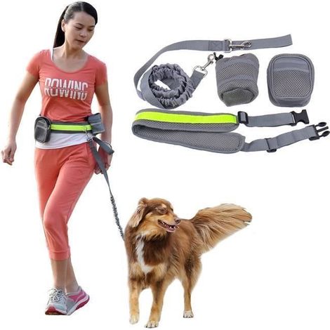 Ceinture ventrale réglable avec laisse et deux sacs pour chien H1636 (1/4)