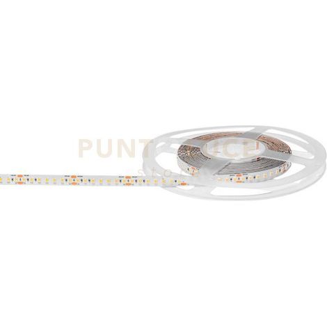 GST161N- STRISCIA LED 5MT 4000K 9080LM 14,4W/m IP20
