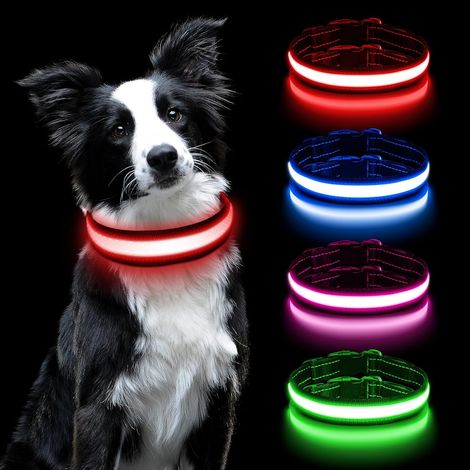LED Collier Lumineux pour Chiens, Lumière Collier Chien Rechargeable  Etanche Collier de Réglable avec 3 Modes d'éclairage pour Moyens Chiens(Rouge-M) (1/5)
