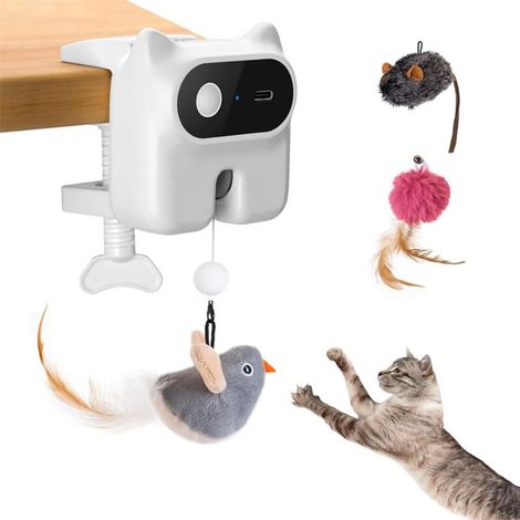 Cat Treat Hunter Intelligence Game