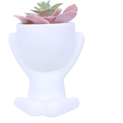 Mini Planter - Desktop Decorative Pot - Indoor Ornamentation - 1 Unit (1/5)