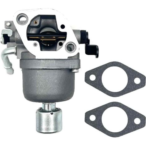 Carburateur de remplacement pour moto 697722, compatible avec Briggs & Stratton (1/5)