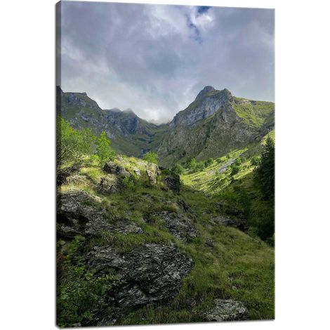Leinwanddruck Natur Überwucherte Berge 40x60 cm