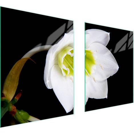 PIASTRA PROTETTIVA IN VETRO PER STUFA 85x52 ORCHIDEA (1/5)