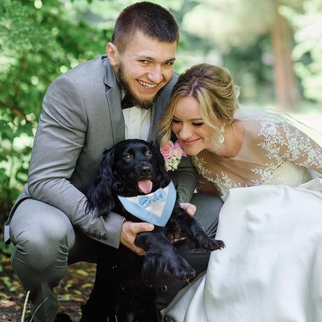 Tuxedo for Dogs, Wedding Collar for Dogs with Tuxedo Bow Tie for Small Dog Costume (Neck: 20-30 cm/Blue) (1/2)