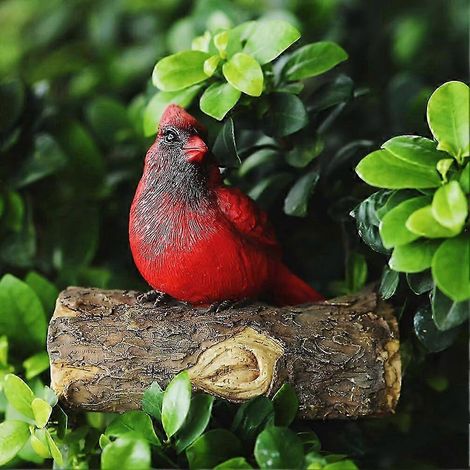 Statue miniature de cardinal en résine sculptée (25-26 cm), idéale pour décorer un arbre ou un jardin lors d'une fête de Noël. (1/4)