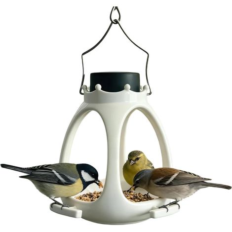 Pour oiseaux avec lumière solaire Décoration extérieure avec lumière solaire pour jardin pour oiseaux décoratifs, pour balcon, forêt, jardin, nature (1/5)