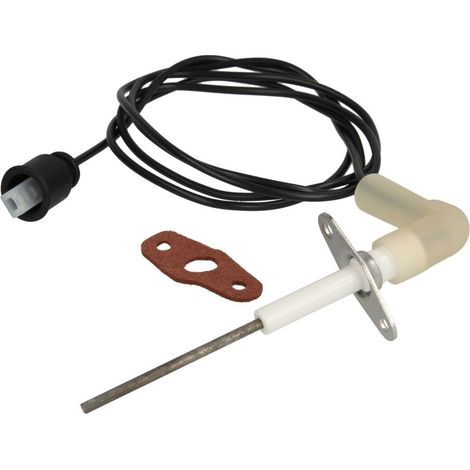 Électrode d’ionisation