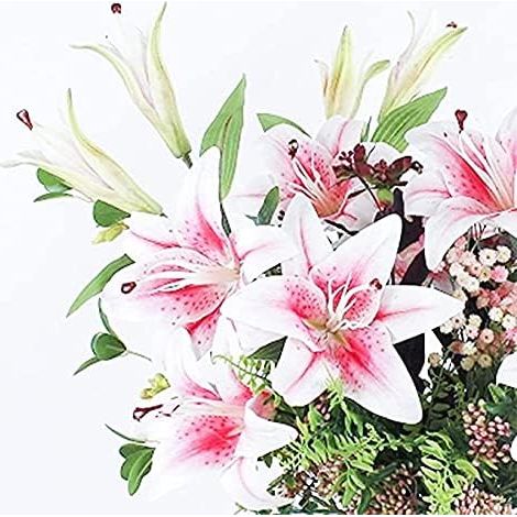 Fleurs Artificielles Faux Fleurs de Lys 5 Bouquets Faux Bouquet de Fleurs Real Touch Latex Artificial Lilies Flowers Faux Bouquets de Mariage Lily pour décor de fêtes de Mariage(Pink)-Fei Yu (1/5)