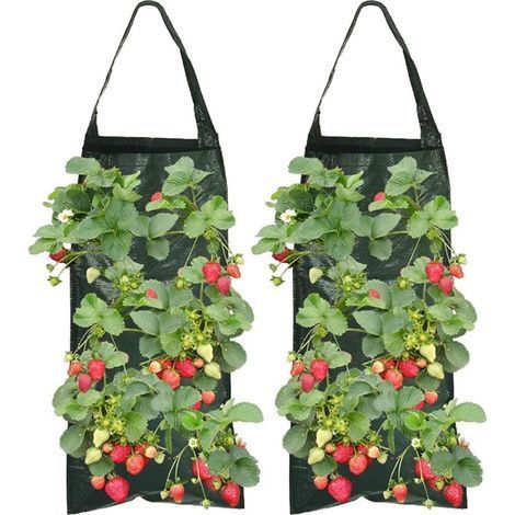 2 Pièces Sac De Plantation, 8 Trous, Tissu Respirant, Poignée Robuste, Pour Fraises Légumes Fleurs (1/5)