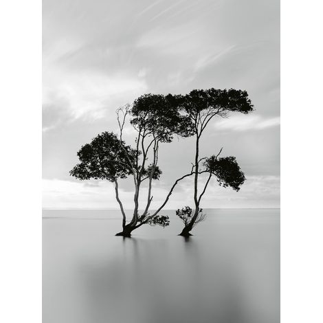 Papier peint panoramique mer tranquille | Tapisserie panoramique noir et blanc | Papier peint panoramique arbre dans l'eau paysage effet zen - 192 X 260 cm (4 pièces) (1/2)