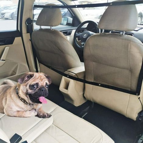 Barrière de sécurité pour chien en voiture - Filet de séparation auto avec corde réglable et crochets, compatible SUV et citadine (115 x 62 cm) (1/5)