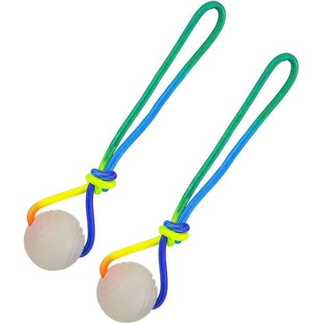 Confezione da 2 palline luminose per cani, giocattolo interattivo da masticare con corda, palla rimbalzante per cuccioli e razze di piccola taglia, stimolazione mentale in casa e all'aperto (1/5)