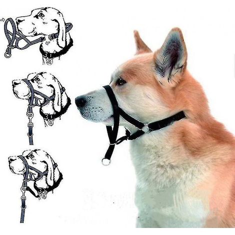 Halti Hundetrainingshalsband: Anti-Zug-Lösung an der Leine (lila) (1/5)