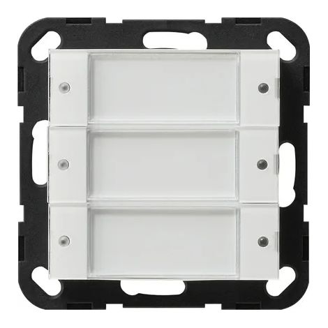 Gira Sensor táctil 2 3f 24 V libre de potencial BSF Sistema 55 Claro/Blanco puro [2003100], 2003 100