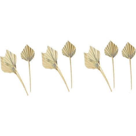 10 pièces de lances de palmier séchées de style bohème, éventails de palmier séchés naturels, palmier séché (1/5)