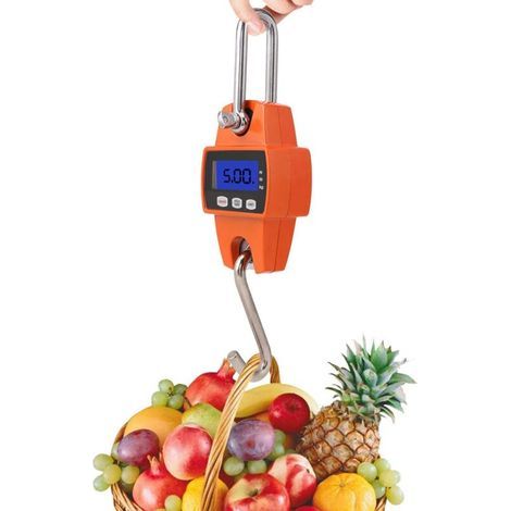 Elektronische Waage mit LCD-Display, tragbar (0,5–300 kg) (1/4)