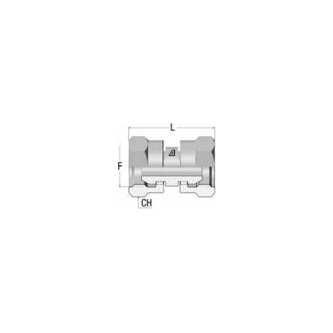 ADAPTADOR TL-TL CONO 60ÂºINOX 1/4 - DICSA