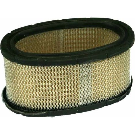 Filtro aria trattorino rasaerba tagliaerba 11HP I/C BRIGGS & STRATTON 393725