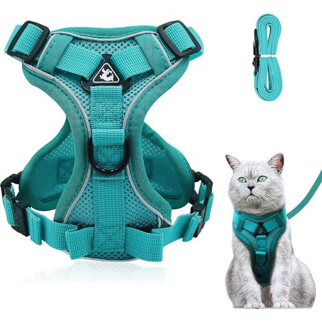 Harnais Chat - Harnais Anti-Fugue avec Laisse - Maille Respirante - Réglable - Bleu Turquoise - Taille M