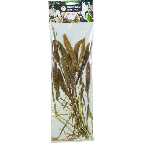 Miglio italiano in un bouquet di Back Zoo Nature  Bouquet di cereali Setaria  per tutti i pappagalli 50 g (1/5)