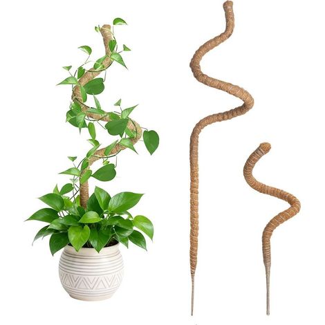 Wigearss 2 Pièces Tuteur Plante Grimpante en Coco sur Piquet 60cm et 120cm, Support de Plante Tuteur de Coco Pliable Poteau de Croissance de Plantes Grimpantes pour Jardin et Plantes Monstera (1/5)