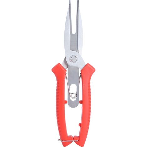Cisailles de jardin en acier inoxydable, ciseaux de taille pour plantes, arbres et fleurs (1/4)