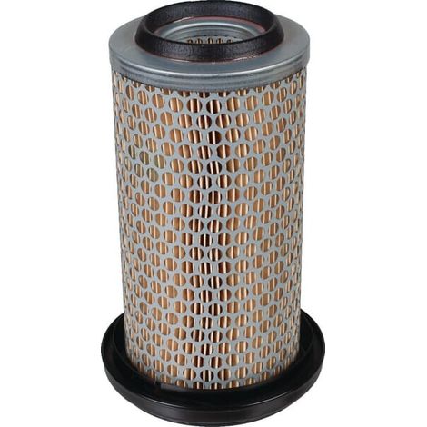 Filtre à air MANN-FILTER C1176