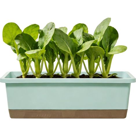 Blumentopf Pflanzbehälter für Blumen Mit Abflussloch und